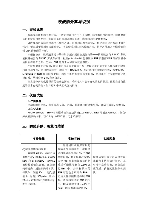 核酸的分离与识别实验报告