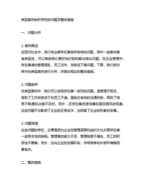 典型案例剖析存在的问题及整改措施