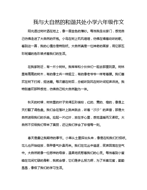 我与大自然的和谐共处小学六年级作文