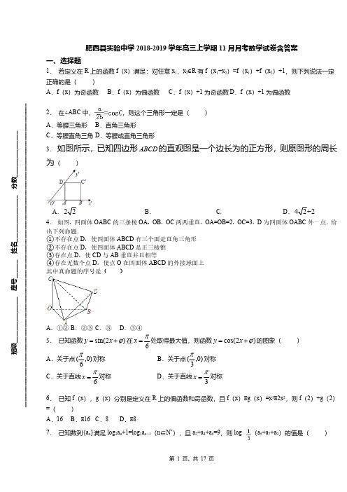 肥西县实验中学2018-2019学年高三上学期11月月考数学试卷含答案