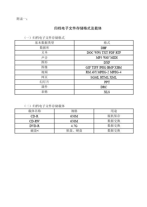 归档电子文件存储格式及载体