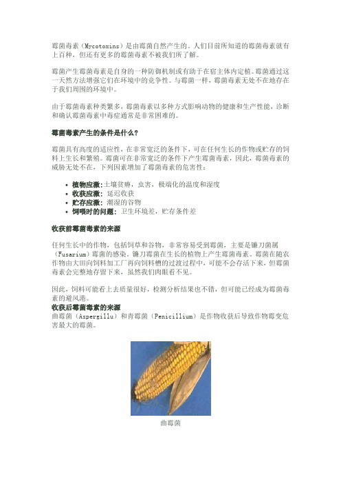 霉菌毒素
