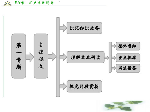 高二语文苏教选修《现代散文选读》课件：第1专题  自读课文 把栏杆拍遍