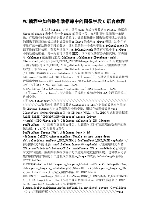 VC编程中如何操作数据库中的图像字段C语言教程.