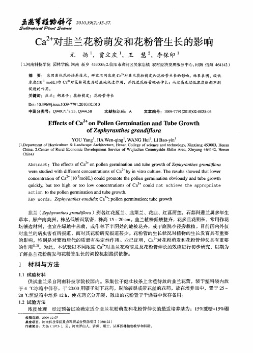 Ca2+对韭兰花粉萌发和花粉管生长的影响