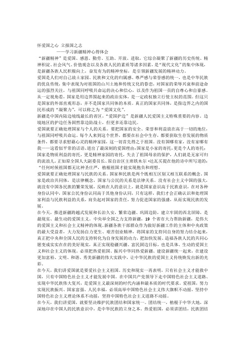 怀爱国之心_立报国之志学习新疆精神心得体会