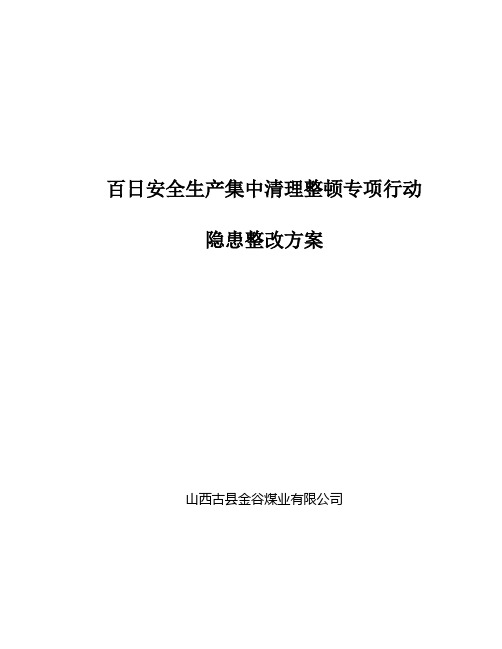 集中清理整顿专项活动自查自纠的整改方案档