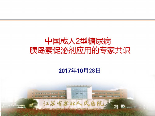 中国成人2型糖尿病胰岛素促泌剂应用的专家共识