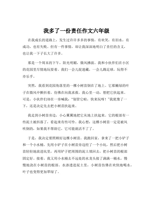 我多了一份责任作文六年级