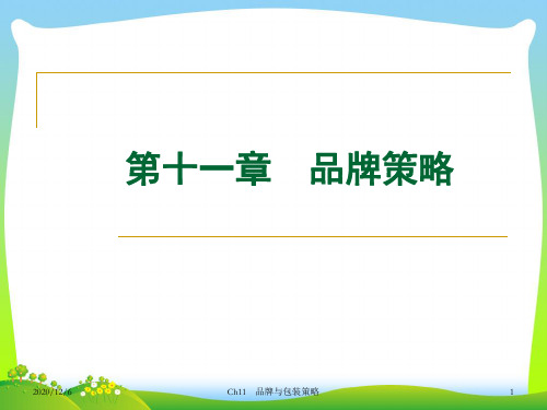 品牌策略培训课件(PPT78页).pptx