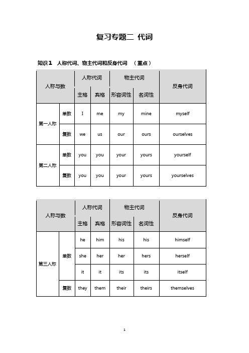 中考英语复习专题——代词