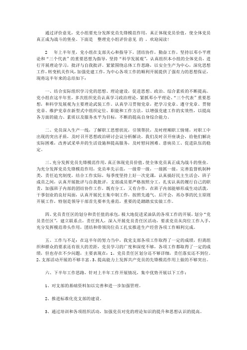 党小组评价意见范文