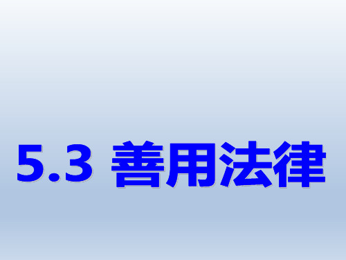 人教部编版道德与法治八年级上册：5.3《善用法律》课件(共17张PPT)