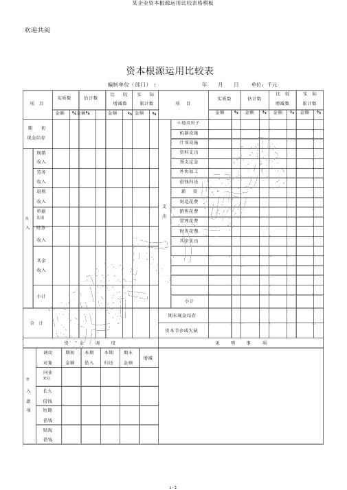 某公司资金来源运用比较表格模板