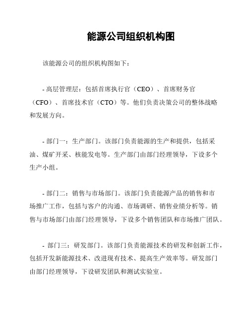 能源公司组织机构图