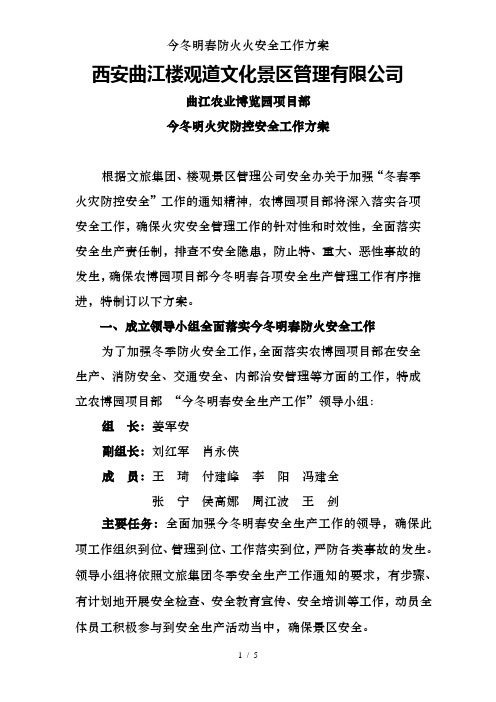 今冬明春防火火安全工作方案
