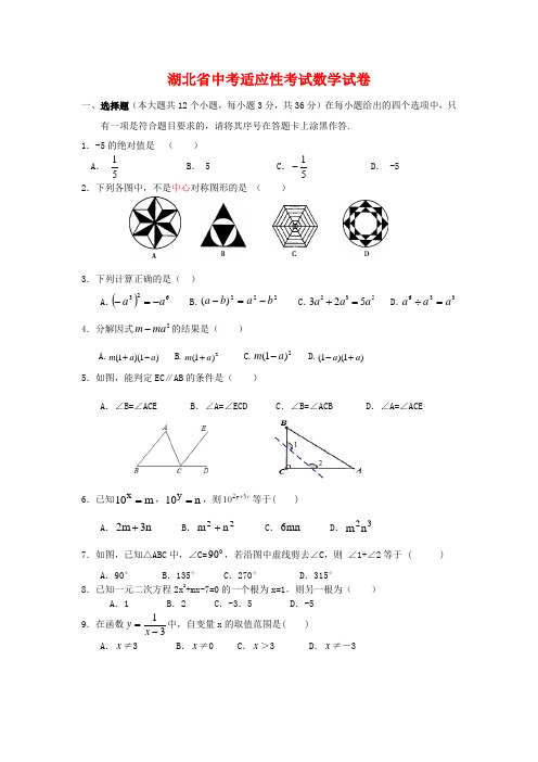 2016年湖北省中考适应性考试数学试卷(附答案)