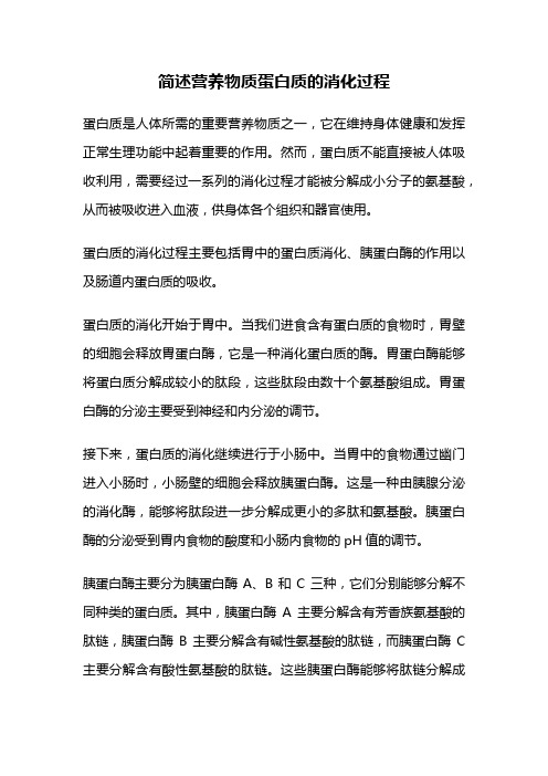 简述营养物质蛋白质的消化过程