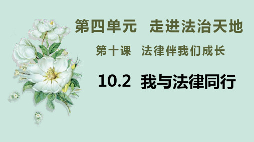 10.2我们与法律同行(课件+素材)-2022-2023学年七年级道德与法治下册同步精品课堂(部编版