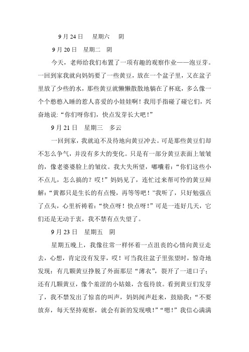 观察日记四则----泡豆芽