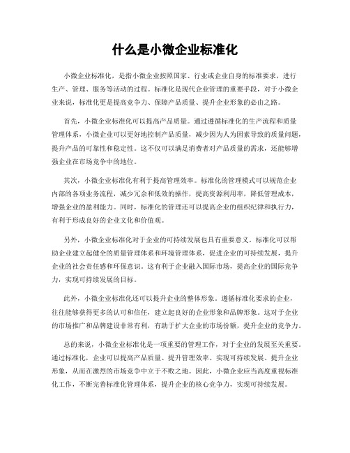 什么是小微企业标准化