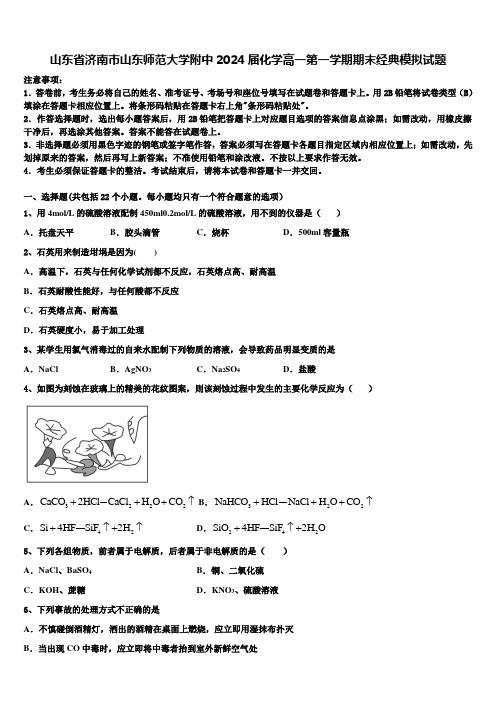 山东省济南市山东师范大学附中2024届化学高一第一学期期末经典模拟试题含解析