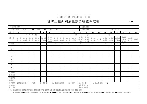 (表02)堤防工程外观质量综合检查评定表