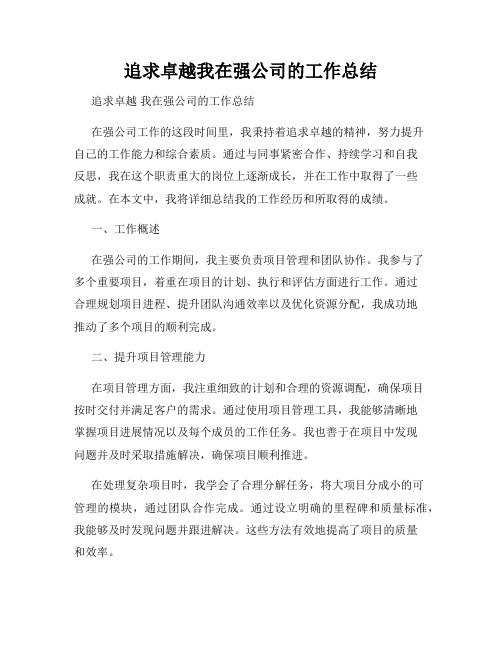 追求卓越我在强公司的工作总结