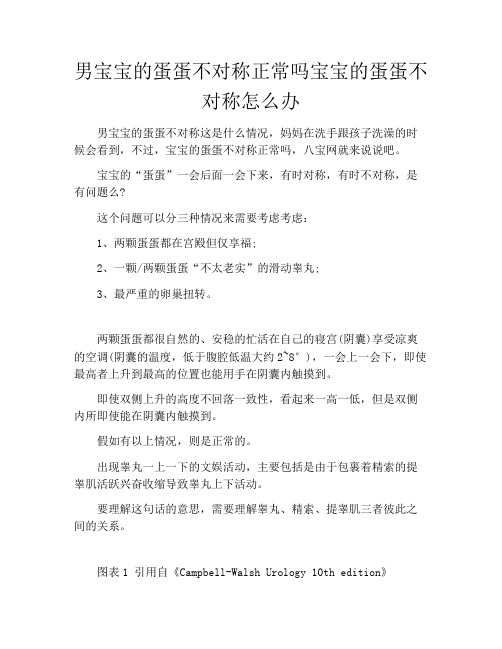 男宝宝的蛋蛋不对称正常吗宝宝的蛋蛋不对称怎么办