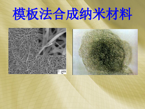 10.纳米材料的模板合成