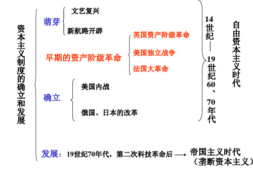 资本主义制度的确立和发展