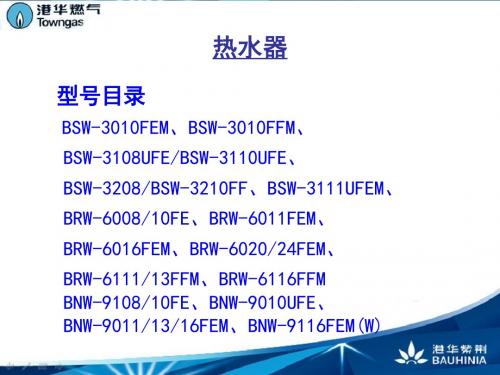 港华紫荆热水器卖点详细版