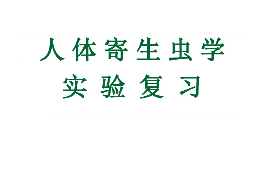 人体寄生虫学实验复习精品PPT课件