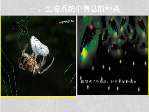 人教版高中生物必修三第5章第4节 生态系统的信息传递 课件(共34张PPT)_2