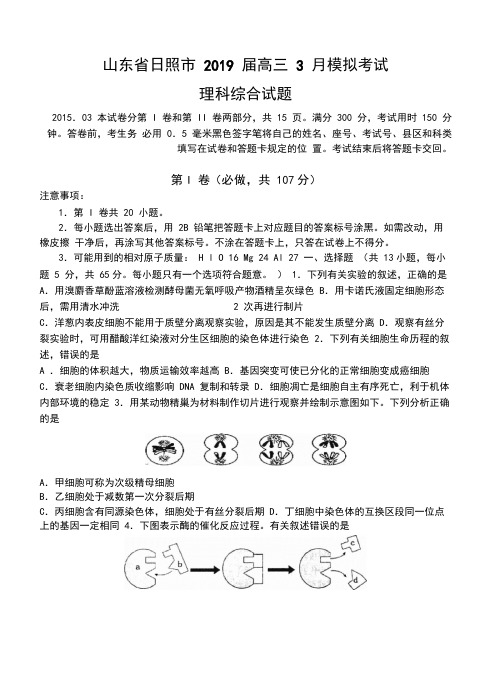 山东省日照市2019届高三3月模拟考试理科综合试题