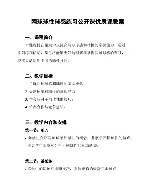 网球球性球感练习公开课优质课教案