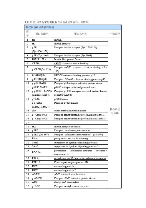 常见的糖脂代谢通路主要蛋白