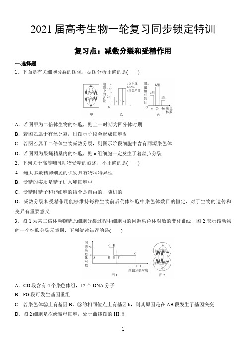 高考生物一轮复习同步锁定特训 减数分裂和受精作用