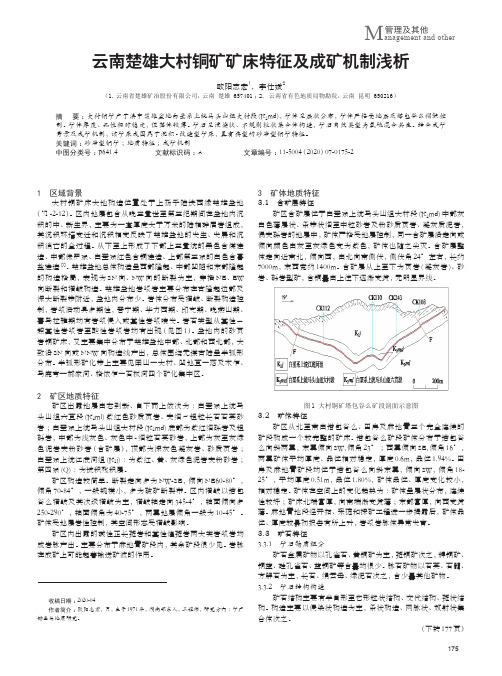 云南楚雄大村铜矿矿床特征及成矿机制浅析