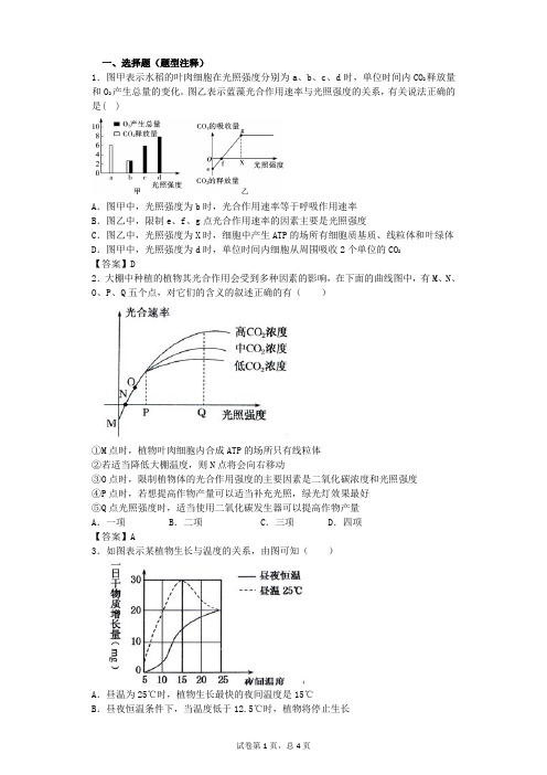 光合作用练习题