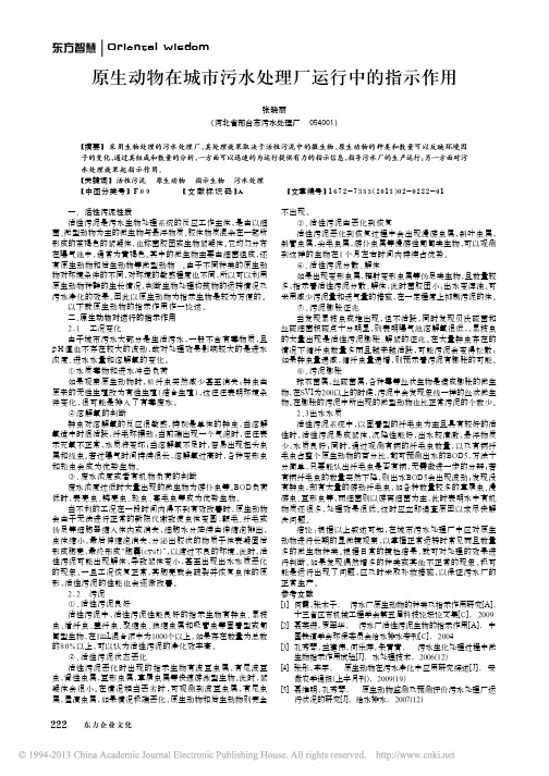 原生动物在城市污水处理厂运行中的指示作用