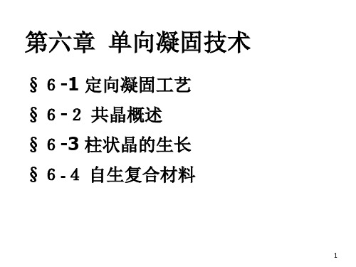 东大金属凝固原理第六章