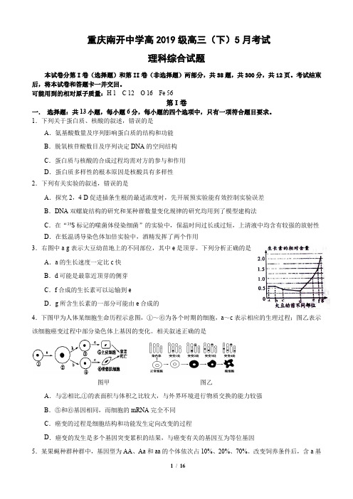 2019届重庆南开中学高三(下)5月考试理科综合试题