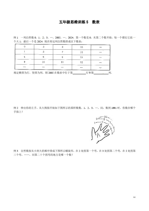 五年级思维专项训练5    数表(原卷+解析版)全国通用