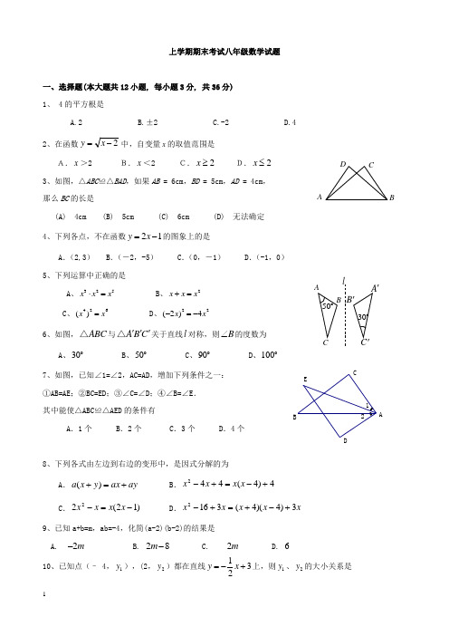 上学期期末考试 八年级数学试题及答案