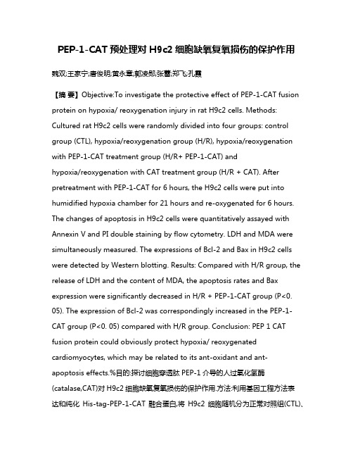 PEP-1-CAT预处理对H9c2细胞缺氧复氧损伤的保护作用