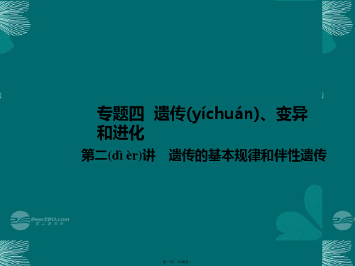 高考生物第二轮复习 专题四 遗传、变异和进化 第二讲 遗传的基本规律和伴性遗传课件 新人教版