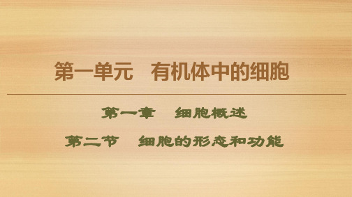 高中生物 中图版 必修1 细胞的形态和功能(45张) 课件