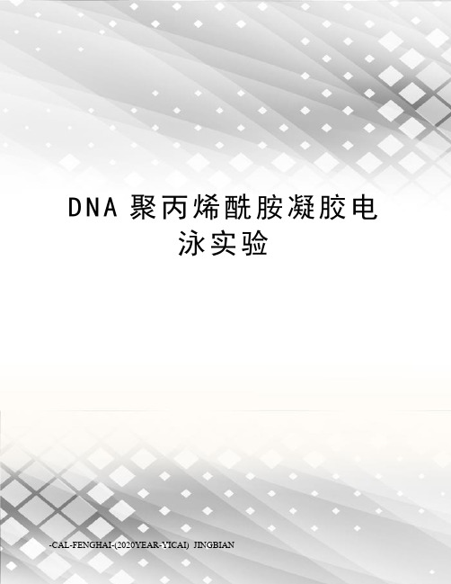 DNA聚丙烯酰胺凝胶电泳实验