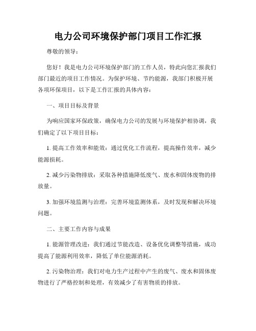 电力公司环境保护部门项目工作汇报